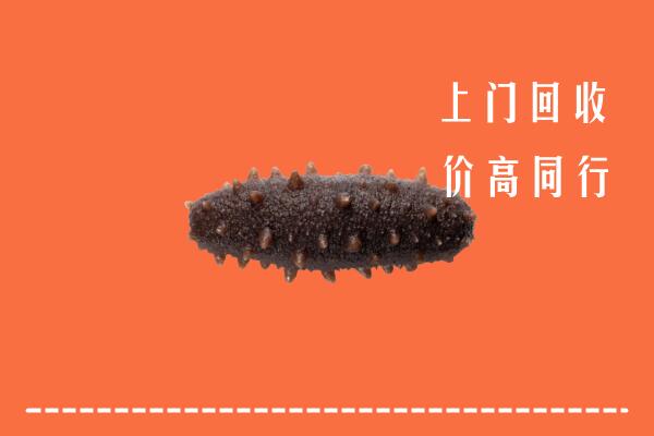 附近收购：贵溪市回收海参